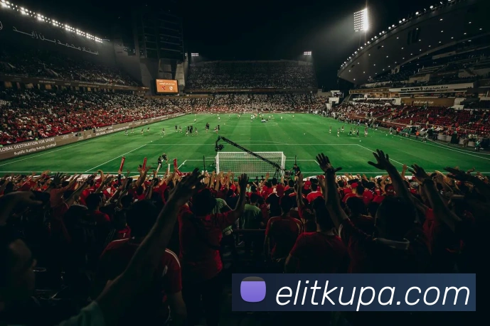 pa视讯APP 封面图